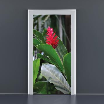 Samolepka na dveře, 860 x 1.985 mm (š x v)